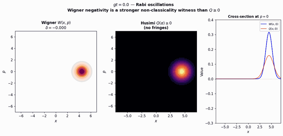 Animation of the Wigner function beside the Husimi Q function as the cavity field evolves into a cat state